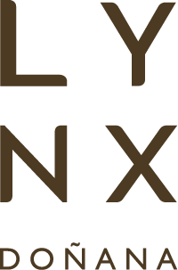 Logotipo Lynx<br />
